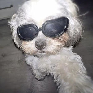 Meet your Posher, Addison